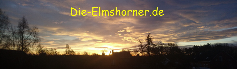 Impressum - die-elmshorner.de